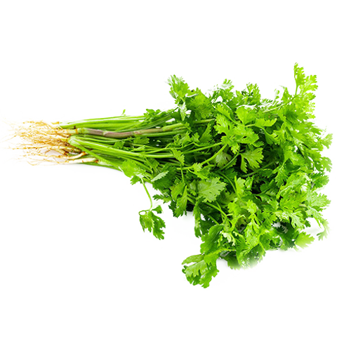 Picture of Coriander Leaf - 100 gm