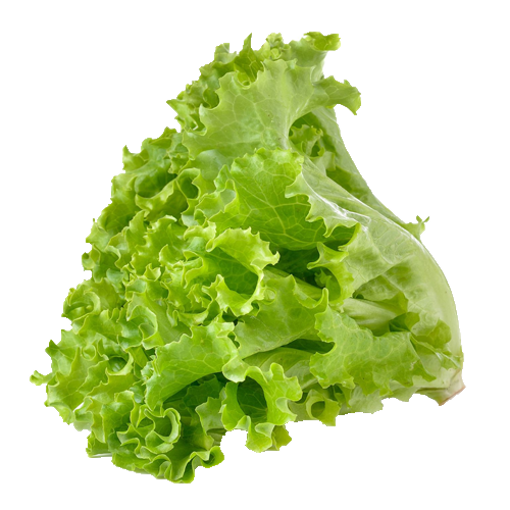 Picture of Lettuce Leaf - 100 gm