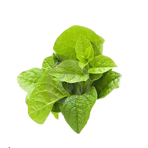 Picture of Pui Spinach - 1 Bundle