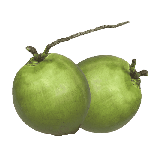 Picture of Green Coconut - 1 pc