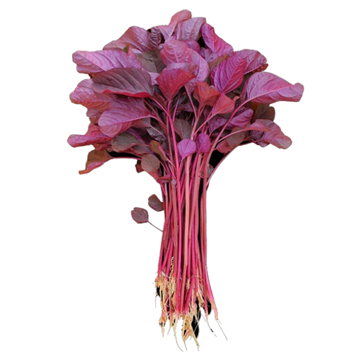 Picture of Red Spinach - 1 Bundle