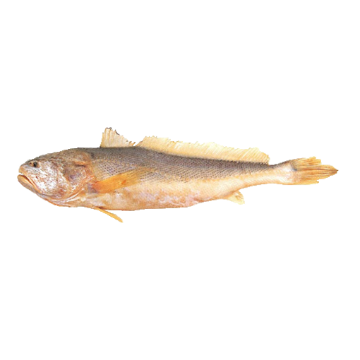 Picture of Poa Fish (Deshi Medium) - 1 Kg